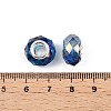 Transparent Glass European Beads GPDL-N004-D14mm-A12-3
