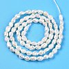Natural Cultured Freshwater Pearl Beads Strands LS-PEAR-N014-03H-3