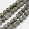 Natural Labradorite Frosted Bead Strands G-O155-04A-6mm-1