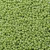 MIYUKI Round Rocailles Beads SEED-G008-RR0439-3
