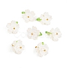 30Pcs Acrylic with Plastic Pearl Charms PALLOY-JF04066-1