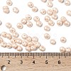 6/0 Glass Seed Beads SEED-L011-08A-24-4