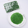 Transparent Glass Bugle Beads SEED-N005-001-C02-2