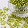 6/0 Glass Seed Beads SEED-US0003-4mm-24-1