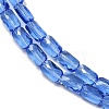 Transparent Glass Beads Strands GLAA-Z018-C18-3