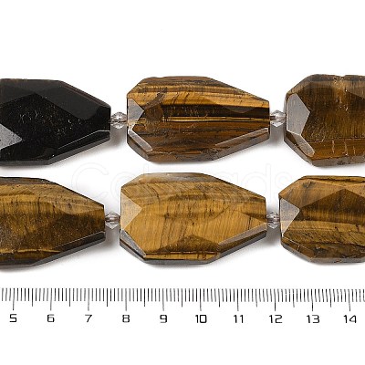 Natural Tiger Eye Beads Strands G-P548-B21-01-1