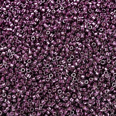 MIYUKI Delica Beads X-SEED-J020-DB1850-1
