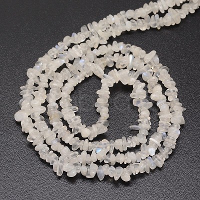 Chips Natural White Moonstone Beads Strands X-G-N0164-57-1