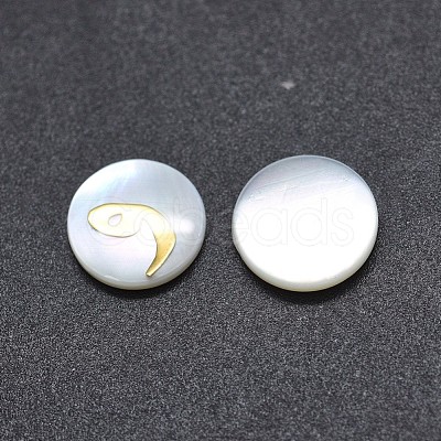 Shell Cabochons SSHEL-E568-A11-1