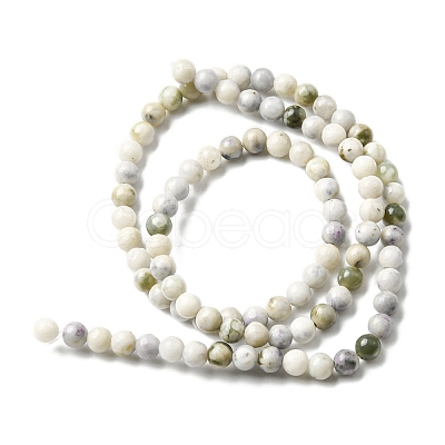 Natural Peace Jade Beads Strands G-E598-04D-1