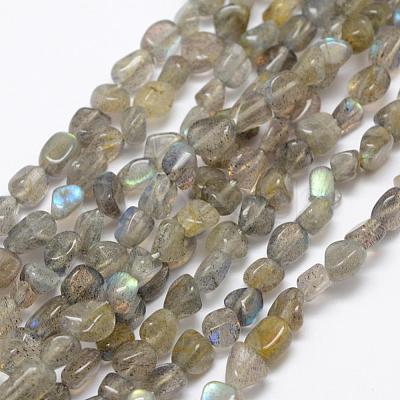 Natural Labradorite Beads Strands G-F521-42-1