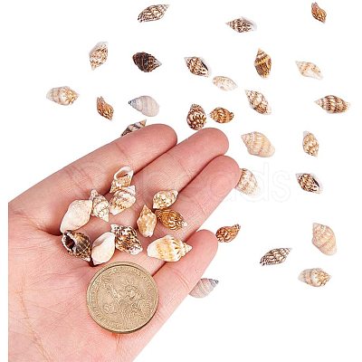 Natural Spiral Shell Beads SSHEL-PH0002-03-1