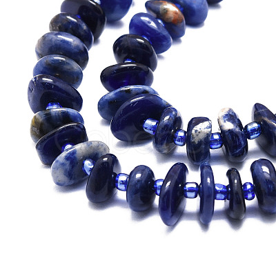 Natural Sodalite Beads Strands G-E569-J22-1
