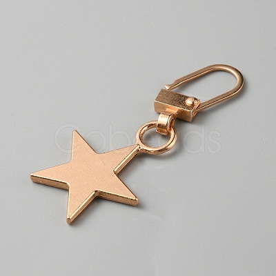 Alloy Zipper Puller FIND-TAC0011-84KCG-1