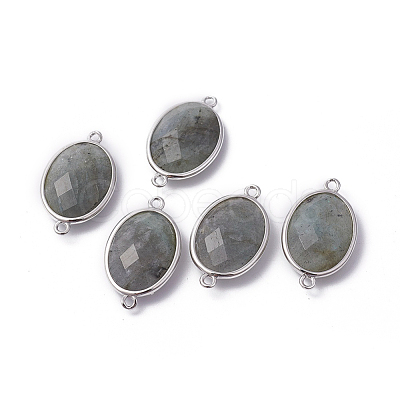 Platinum Tone Brass Natural Labradorite Links connectors X-G-F339-B12-1