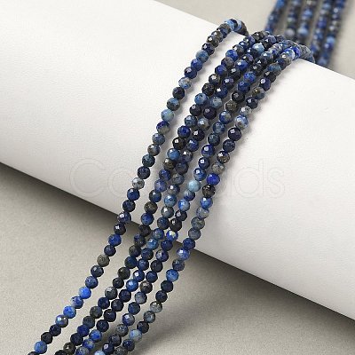 Natural Lapis Lazuli Bead Strands G-G936-2mm-22-1