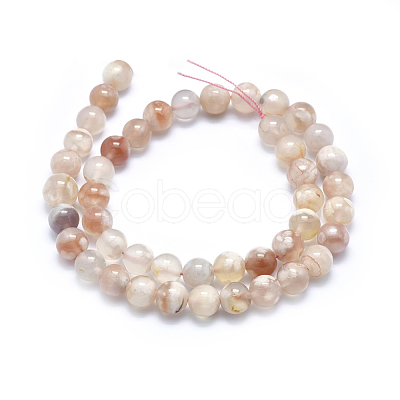 Natural Cherry Blossom Agate Beads Strands G-I206-01-10mm-1