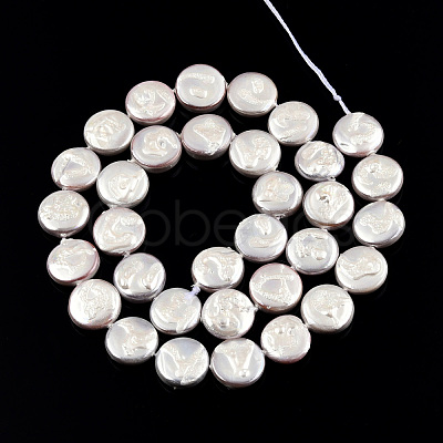 Plating Natural Freshwater Shell Beads Strands SHEL-N026-225C-1