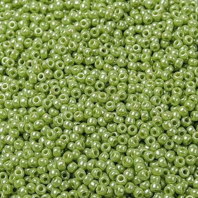 MIYUKI Round Rocailles Beads SEED-G008-RR0439-1