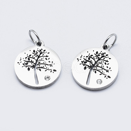 Eco-Friendly 316 Surgical Stainless Steel Micro Pave Cubic Zirconia Charms RB-I078-75P-NR-1
