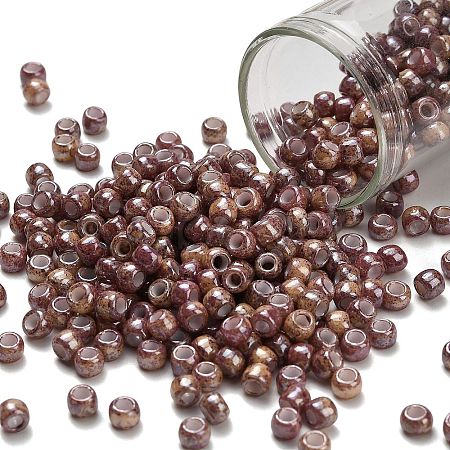 TOHO 6/0 Round Beads X-SEED-TR06-1203-1