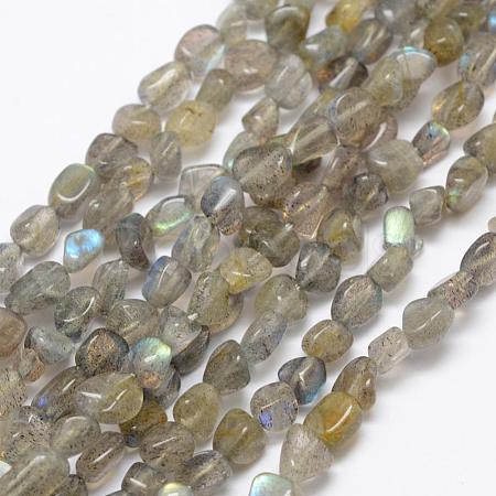 Natural Labradorite Beads Strands G-F521-42-1