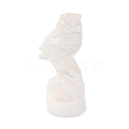 Natural Selenite Figurines DJEW-Q006-01J-1