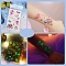 Luminous Removable Temporary Water Proof Tattoos Paper Stickers, Glow in the Dark Stickers, Angel & Fairy, 12x7.5cm