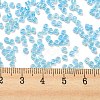 Electroplate Transparent Glass Seed Beads SEED-S042-16A-02-4