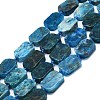 Natural Apatite Beads Strands G-K245-J20-01-1