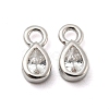 Real Platinum Plated Rhodium Plated 925 Sterling Silver Charms STER-K176-03D-P-2