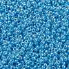 MIYUKI Round Rocailles Beads SEED-JP0010-RR0433-3