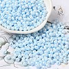 6/0 Glass Seed Beads X1-SEED-M012-01A-15-1