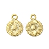 304 Stainless Steel Charms STAS-L269-056G-2