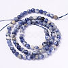 Faceted Natural Sodalite Round Bead Strands G-L377-45-4mm-2