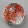 Transparent Glass Cabochons GLAA-WH0039-19G-1
