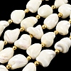 Natural Trochid Shell/Trochus Shell Beads Strands X-BSHE-A002-07-1