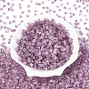 Transparent Inside Colours Glass Seed Beads SEED-T007-13J-1