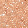 8/0 Glass Seed Beads SEED-Z001-C-E10-3