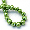 Baking Paint Pearlized Glass Pearl Round Bead Strands HY-Q330-8mm-13-4