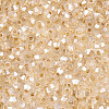 Glass Seed Beads SEED-N007-01I-3