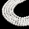 Natural Howlite Beads Strands G-E608-A01-B-4