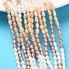 Natural Cultured Freshwater Pearl Beads Strands PEAR-C004-14A-1