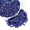Electroplate Glass Seed Beads GLAA-SZC0007-01B-3