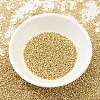 MIYUKI Delica Beads SEED-J020-DB0034-2