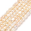Natural Keshi Pearl Beads Strands PEAR-E016-102-1