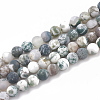 Natural Tree Agate Beads Strands G-T106-037-1