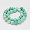 Natural Amazonite Beads Strands G-K068-03-12mm-2