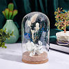 Glass Dome Cover AJEW-PH0004-19C-2