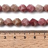 Natural Rhodonite Beads Strands G-Z119-A14-02-6